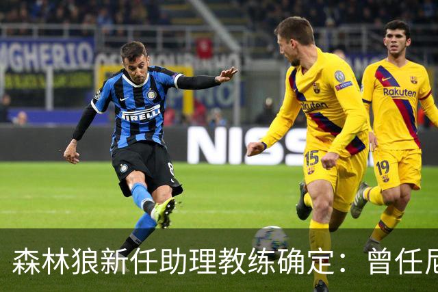 森林狼新任助理教练确定：曾任尼克斯助教，最近在河谷担任球员兼教练